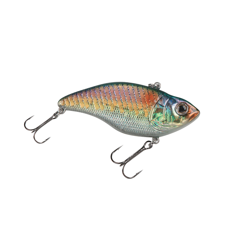 Aruku shad Clearance