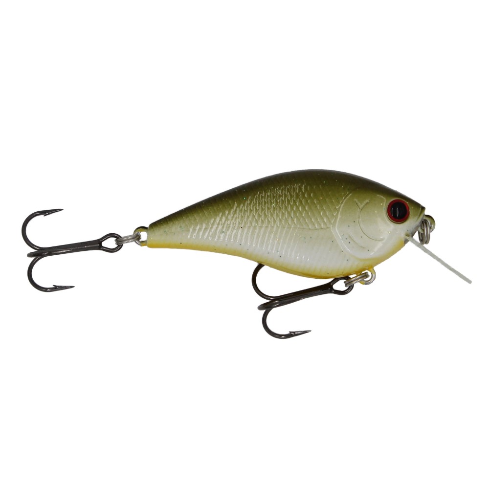 200 Shad Lure Stock Photos - Free & Royalty-Free Stock Photos from