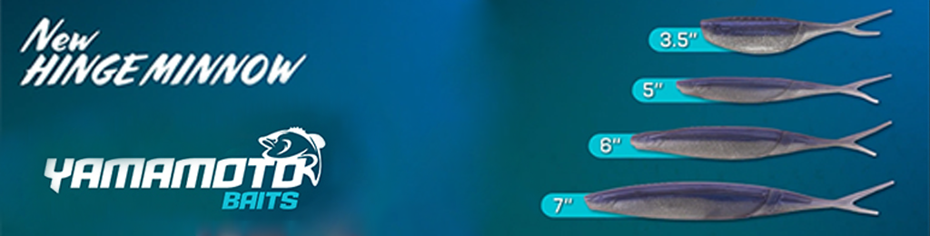 HINGE MINNOW