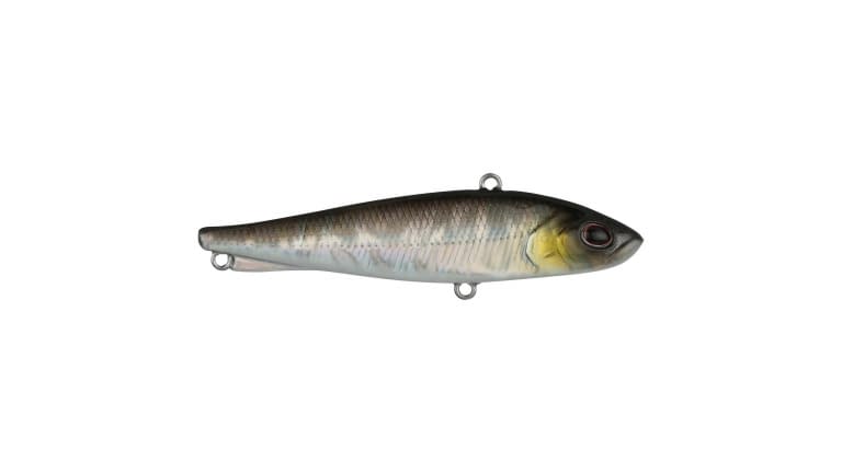 Berkley Ripfish - BSV