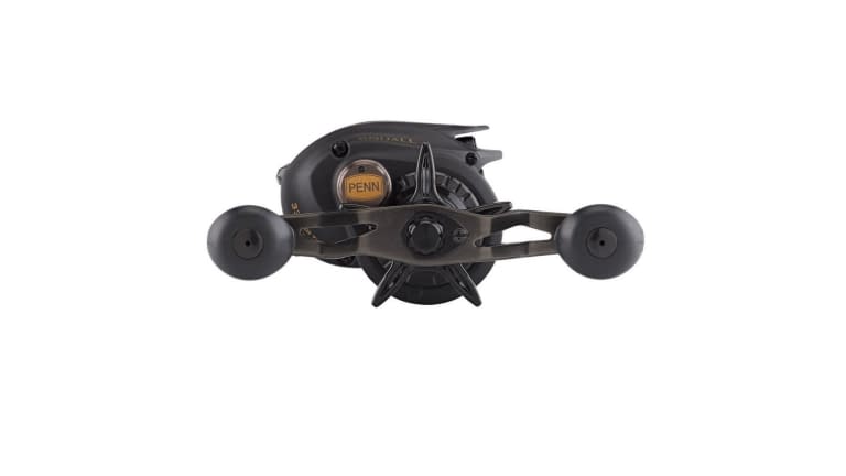 Penn Squall Low Profile Reel - PENN_Squall_Low_Profile_Reel_SQL200LPHS_alt3.jfif