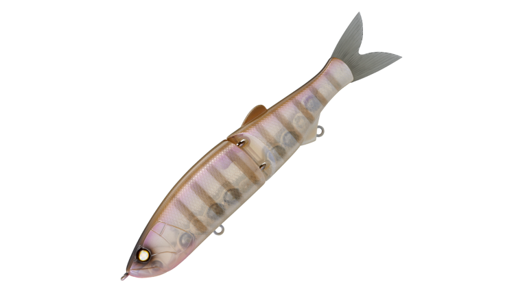 Whiplash Factory Swayward 16 Glide Bait - 14