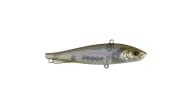 Berkley Ripfish - GHSN - Thumbnail