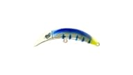 Brad's KillerFish - 063 - Thumbnail