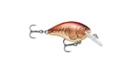 Rapala DT Series Crankbait - MULE - Thumbnail