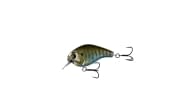13 Fishing Scamp - BR - Thumbnail