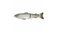 Deps Slide Swimmer 250 - 45 - Thumbnail