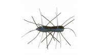 Z-Man Fuzzy Bugz - 320 - Thumbnail